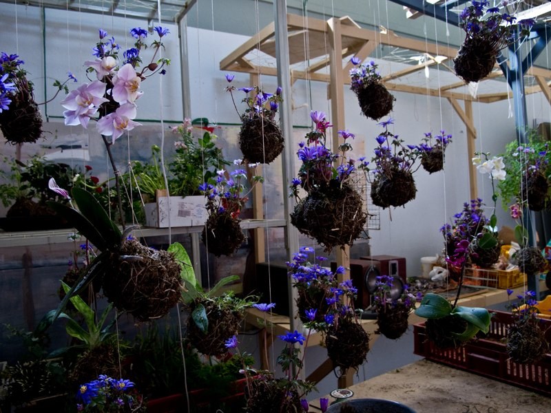 DIY String Gardens Do it yourself ideas and projects