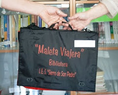 MALETAS VIAJERAS