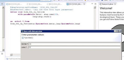 ABAP CDS View with input parameters