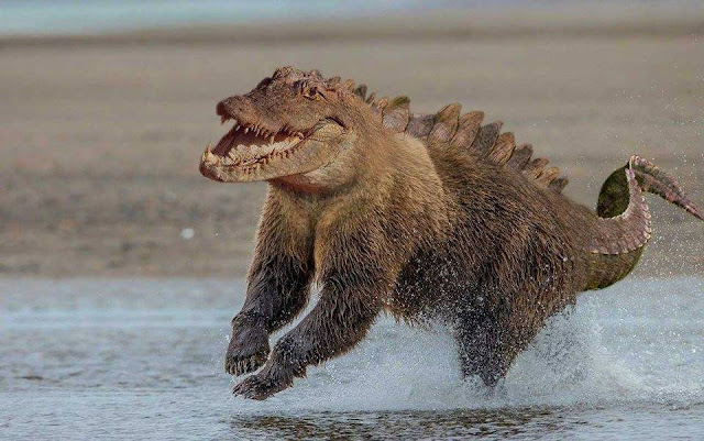 TOP 26 funny photoshopped photos of two animals combined together