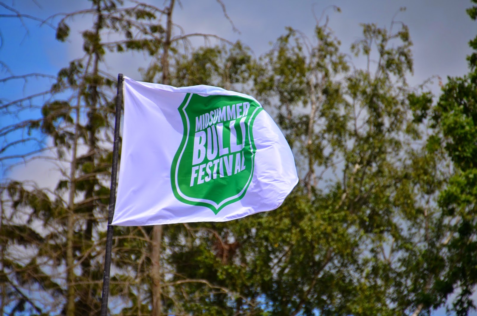  Fehmarn mit Hund: Bullitreffen auf Fehmarn am 20.06.2014 