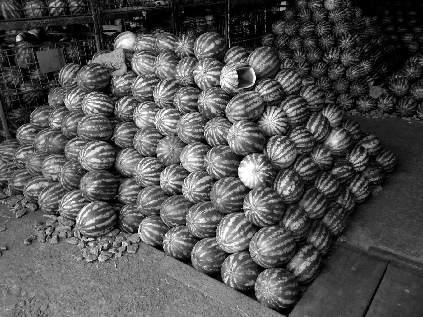 CA - PIRAMIDE DE MELANCIAS -  melancias a venda na cegesp - SP / BRASIL - 2013