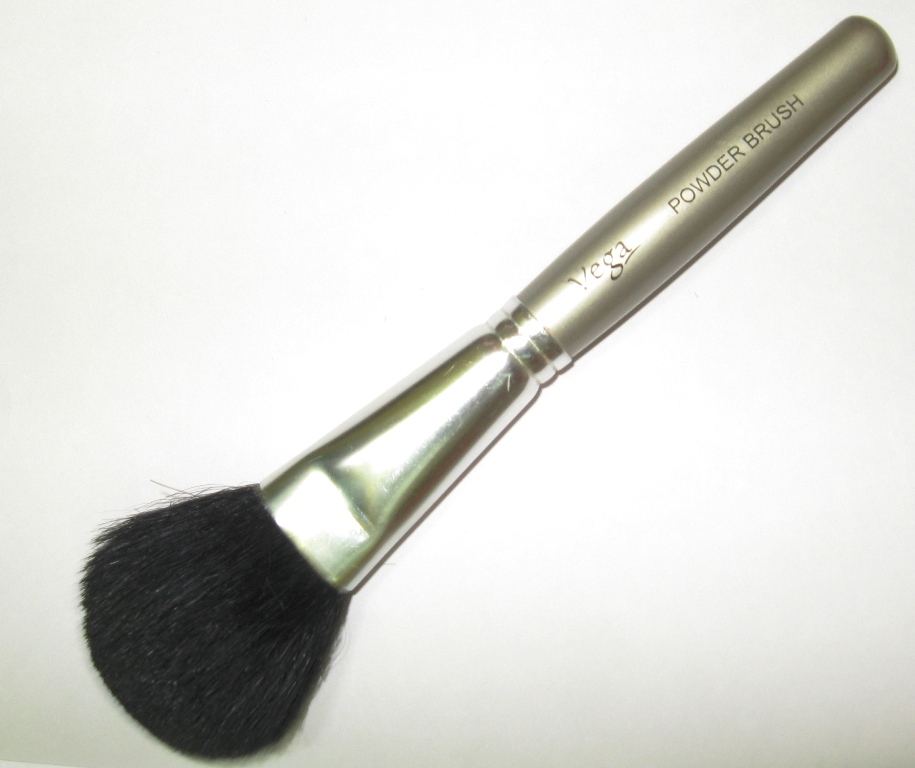 vega blush brush