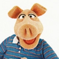Obrazek