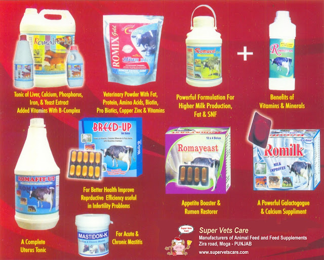 Animal Feed Supplements: May 2013