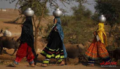 زوجات المياه، الهند، عالم العجائب
