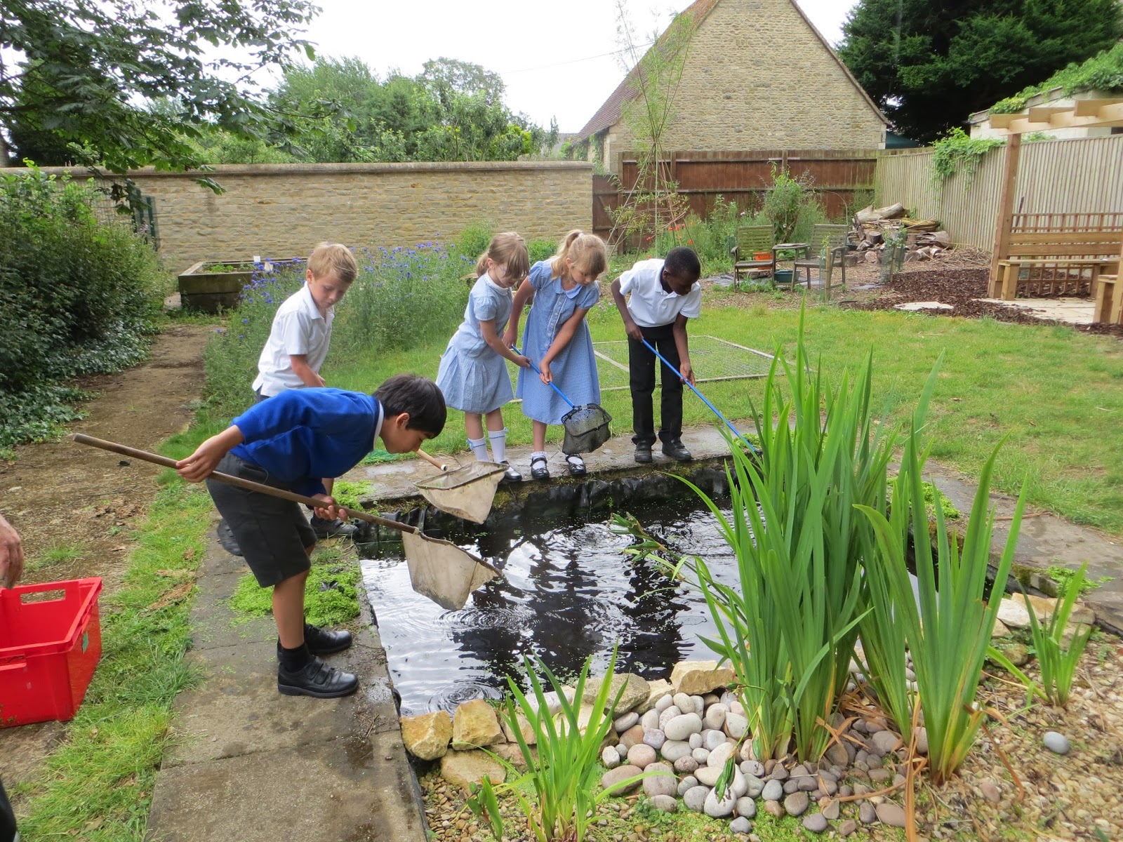 Lower Windrush Valley Project Stanton Harcourt school pond