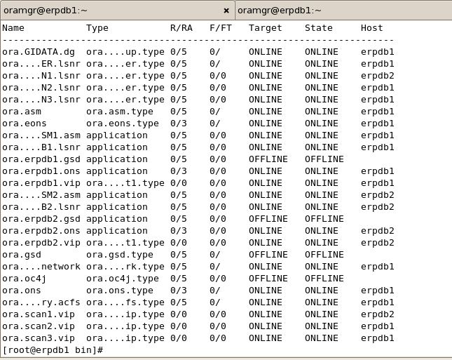 Using 11gR2 RAC with Oracle Applications R12.1.1