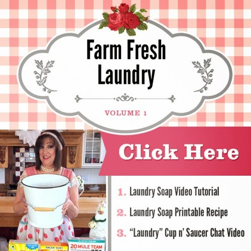 http://www.sugarpiefarmhouse.com/farm-fresh-laundry-video-recipe-bundle
