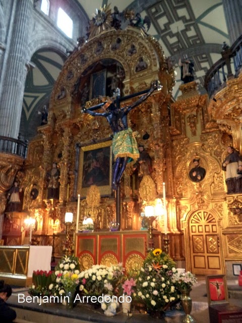 El Señor del Hospital: El Señor del Veneno, el Cristo Negro de la ...