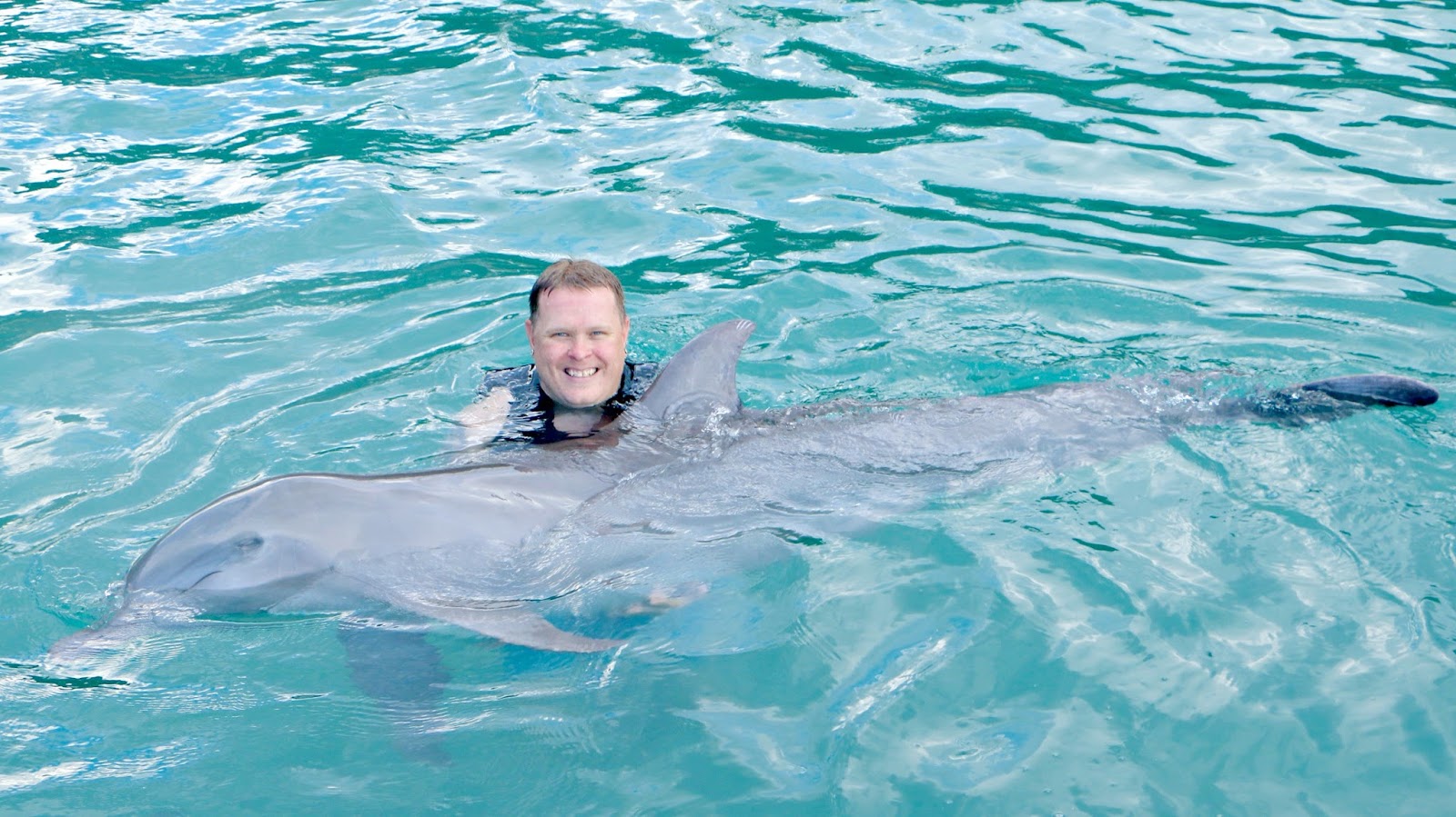 Island Routes Dolphin Swim at Dolphin Cove Building Our Story