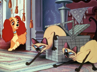 Siamese cats Si and Am Lady and the Tramp 1955 animatedfilmreviews.filminspector.com