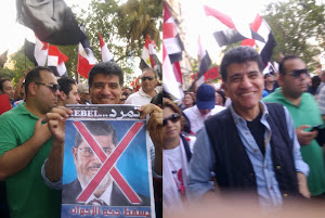 الدكتور محمد النشائى فى مظاهرات الحرية يوم 30 يونيو