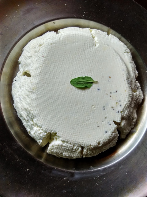 Opos Paneer Recipe How To Make Instant Paneer Cottage Cheese