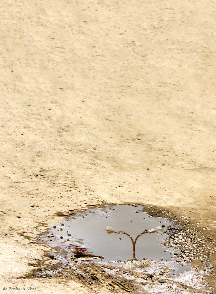 A Minimalist Photograph of the Reflection of street light in stagnant water on the road.