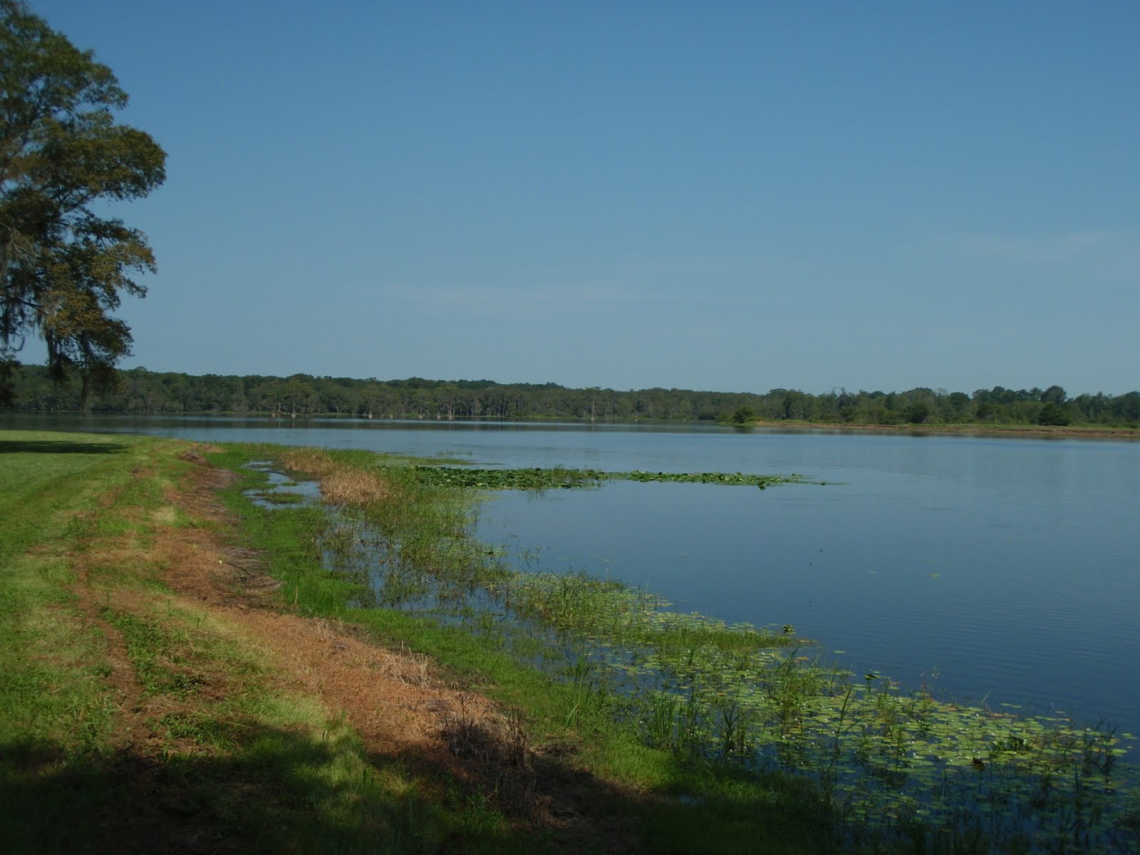 SOUTH KAYAK FISHING Lake Nichols Pavo, GA Brooks County