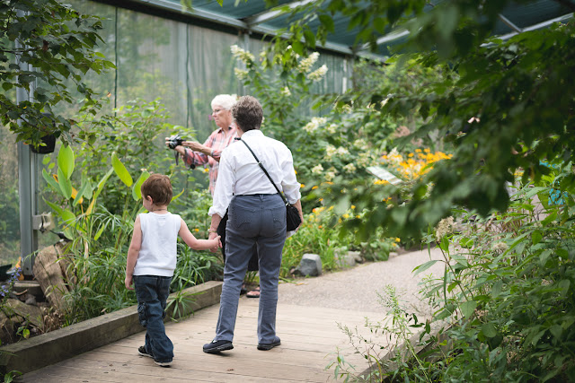 Minneapolis Family Photographer Minneapolis Family Photographer