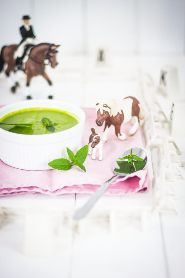 Kochen für Kinder: Suppe für kleine Pferdefreunde