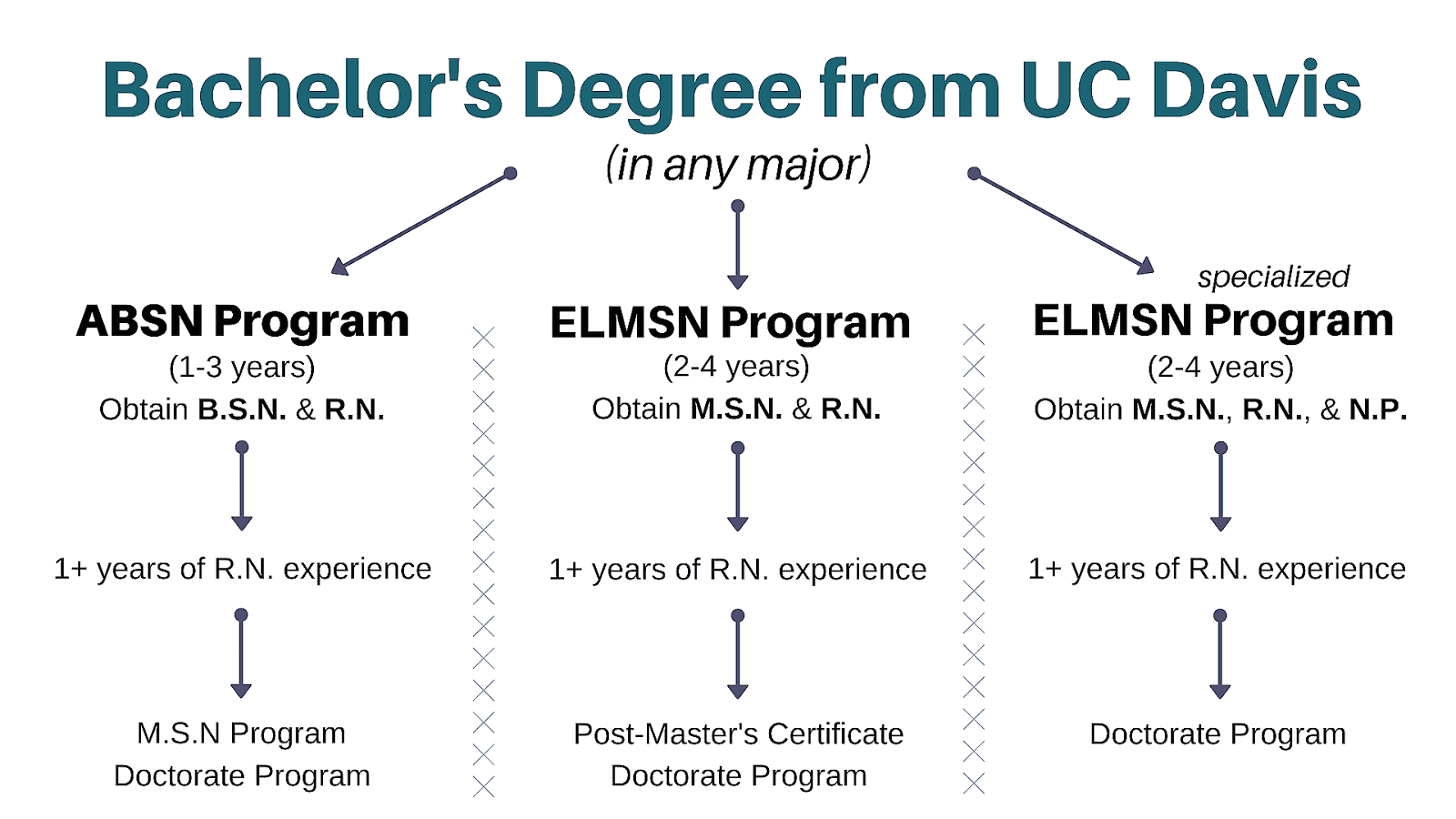 Education Requirements For A Rn Education Choices