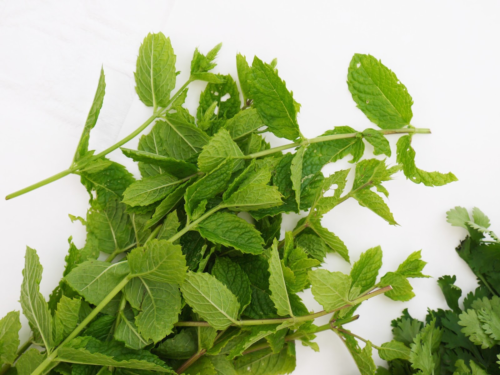 This Muslim Girl Bakes Fresh Coriander + Mint Chutney.