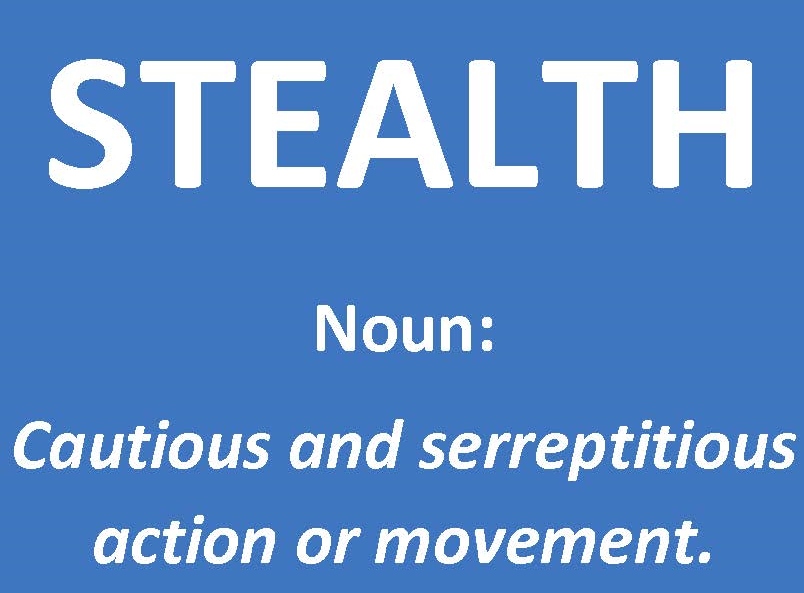 Pierini Fitness Stealth health and wellness