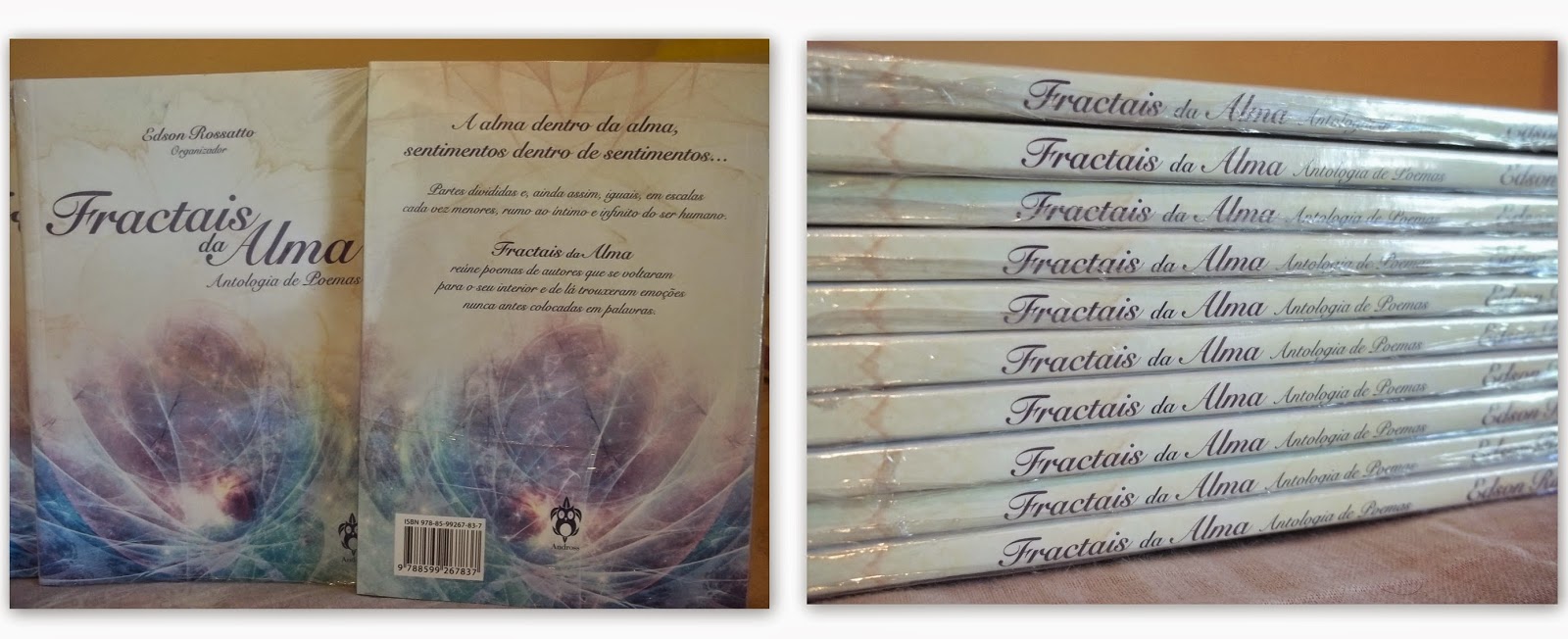 poesia, poemas, antologia, Editora Andross, Vanessa Vieira