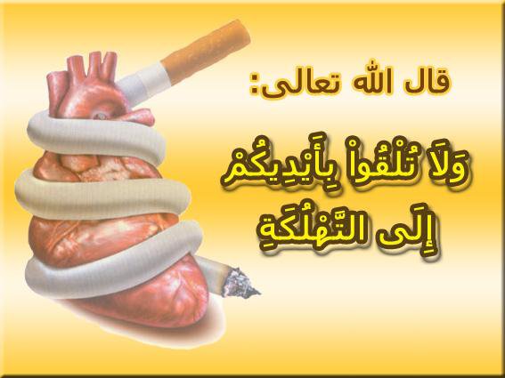 التدخين ضار بالصحة وبالذات القلب مدونة د. يسري السعيد