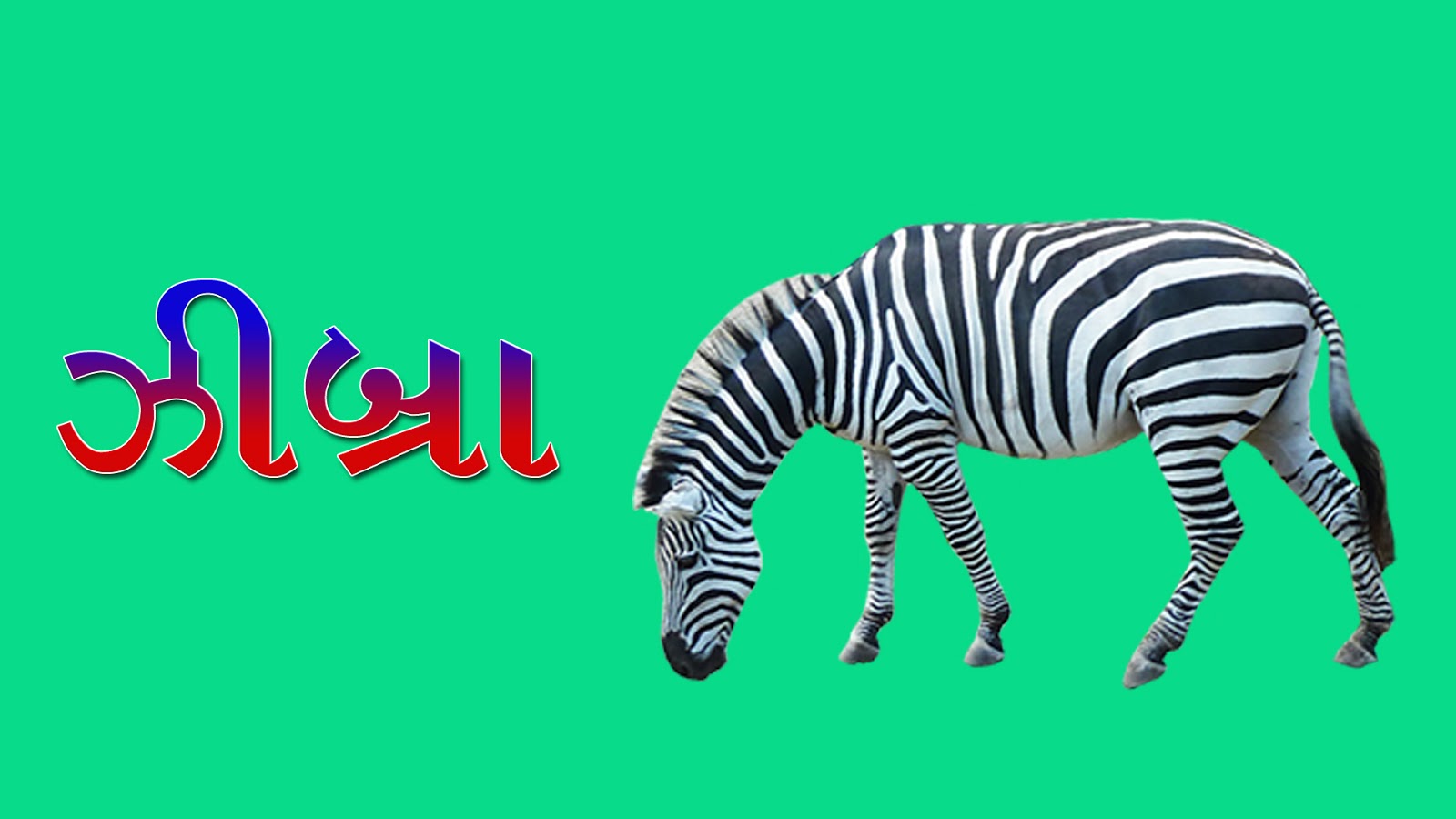 wild animals name in gujarati गुजराती