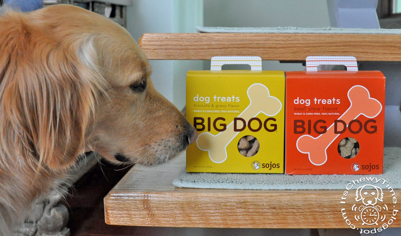 It's Chewy Time! Sojos Big Dog Treats Product Review
