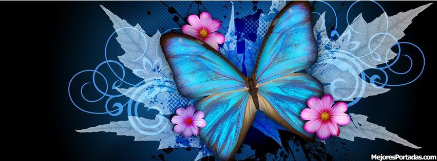 Portadas para FaceBook de mariposas de colores con frases - Imagui