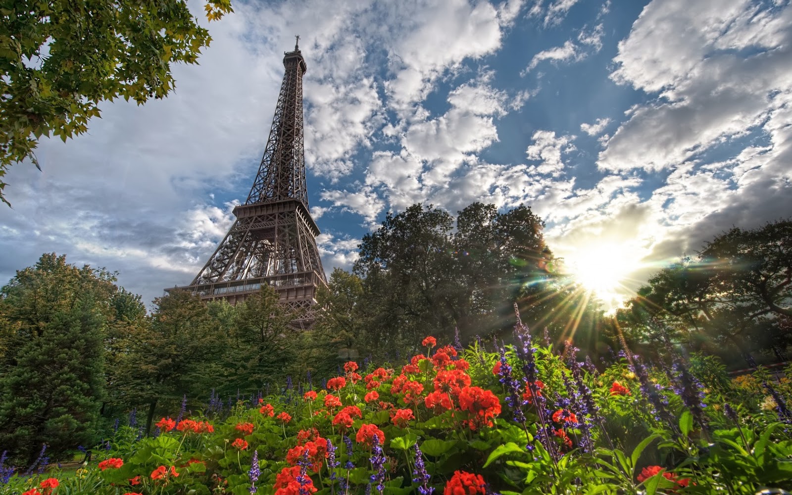 Imagenes de La Torre Eiffel Paris Francia