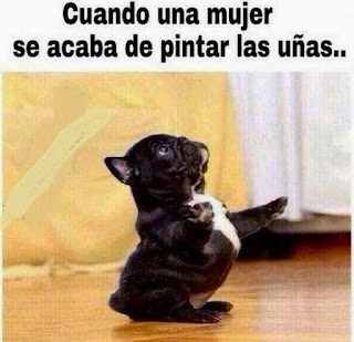 imagenes para whatsapp, frases de risa, chistosas, divertidas, graciosas para whatsapp imagenes para whatsapp, frases de risa, chistosas, divertidas, graciosas para whatsapp