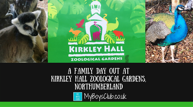 A Family Day Out at Kirkley Hall Zoological Gardens, Northumberland