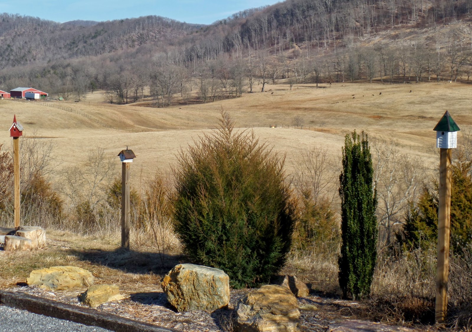 Shenandoah Gateway Farm: Cleaning House