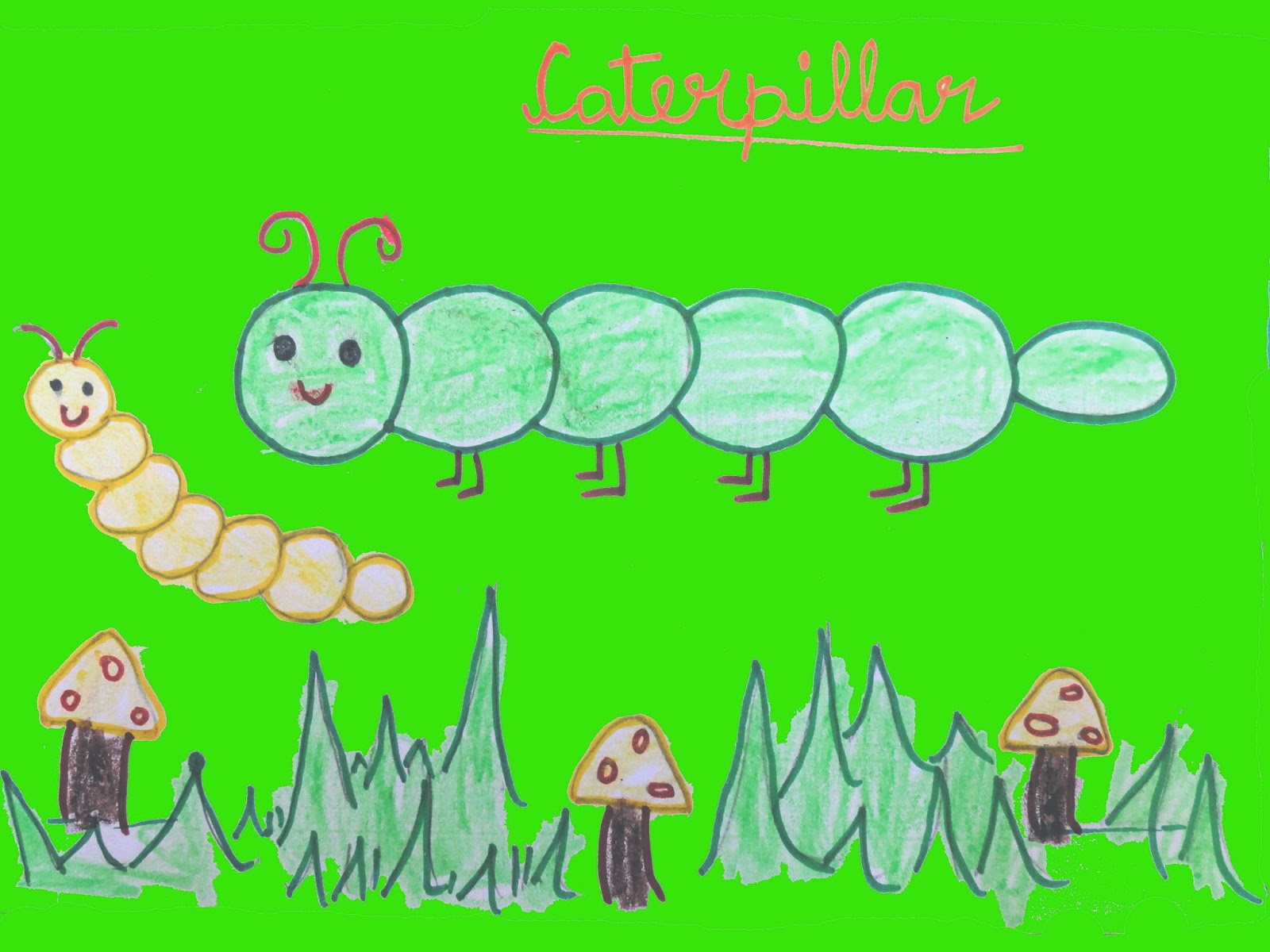 Caterpillar Drawing for Kids