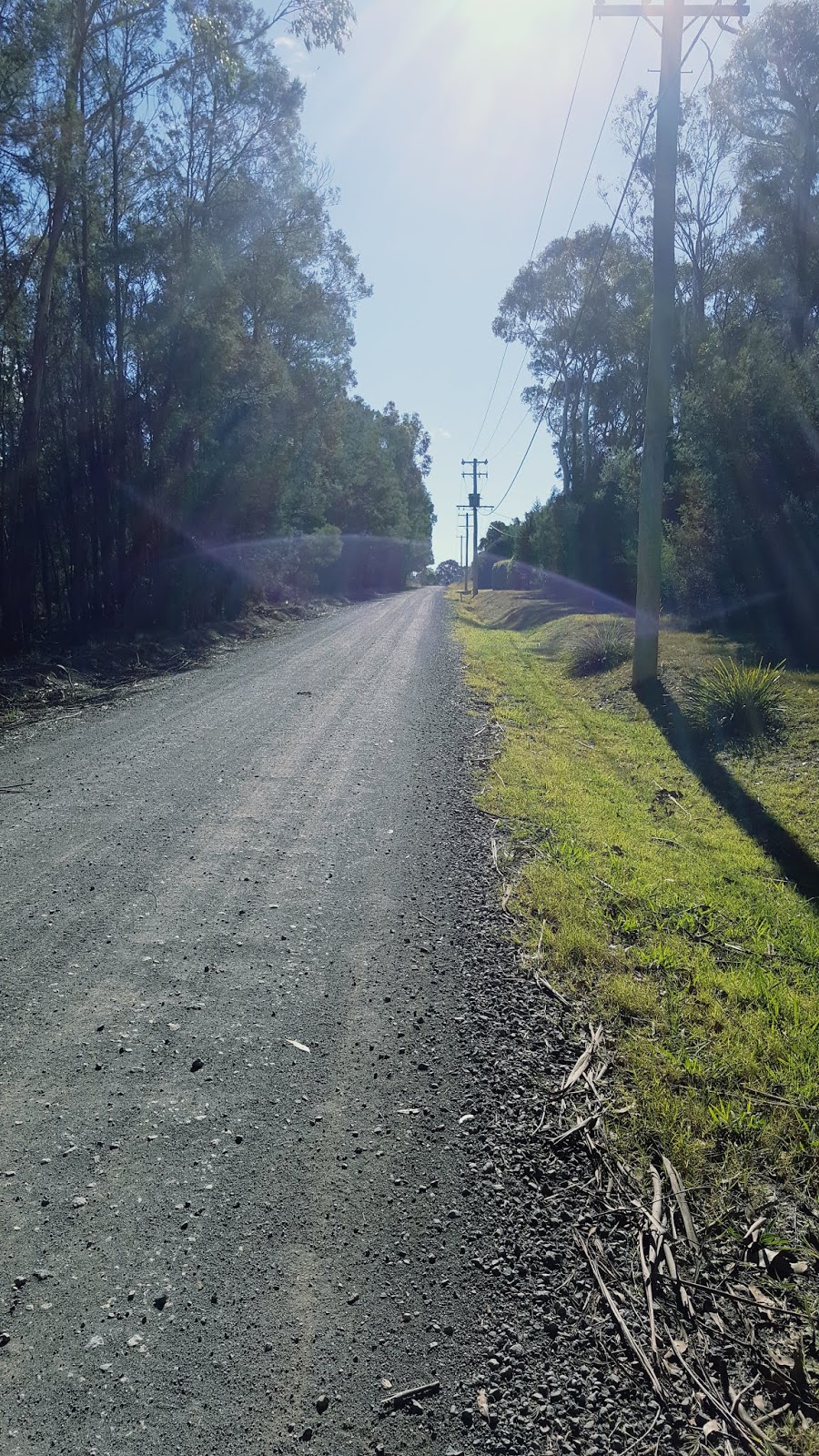 LL's Blog: The Week So Far