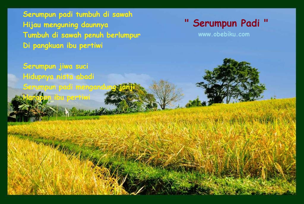 Lirik Lagu Anak Anak Serumpun Padi Obebiku