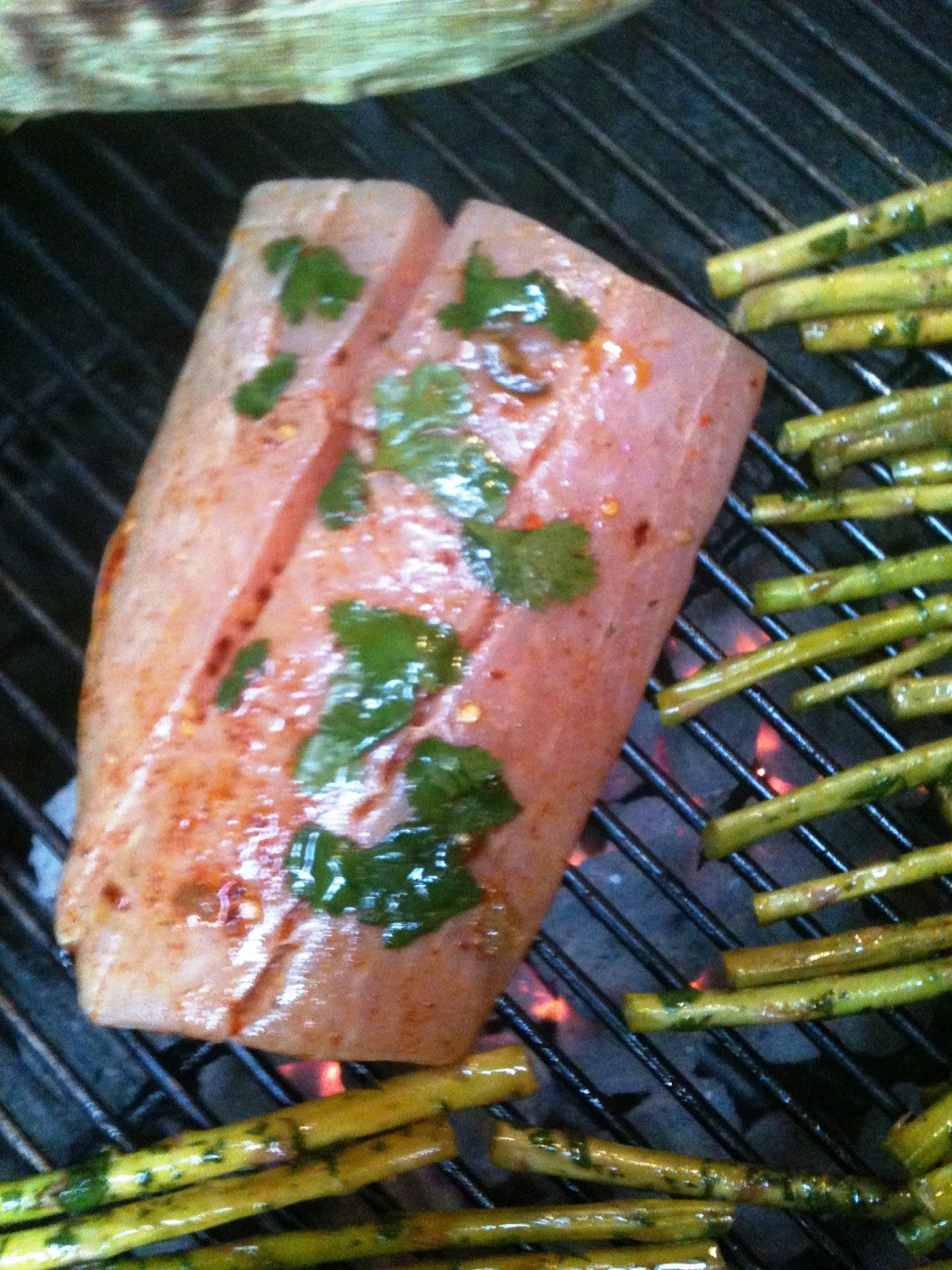 Yeah, You Can Grill That Southwestern Grilled Mahi Mahi with Grilled