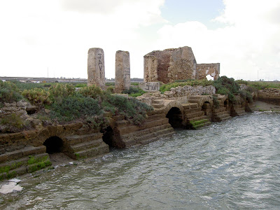 ora-mar-tima-costa-de-c-diz-molino-de-san-jos-y-m-s