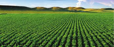 Farmers Welfare releases the 2017-18 Farmers+Welfare+releases+the+2017+18