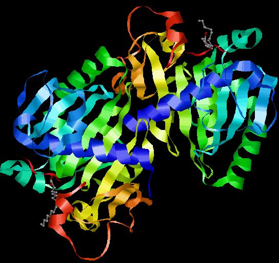 Chem Brotherhood (ZuFaYoFan) Lesson 3 PDB Protein Data Bank