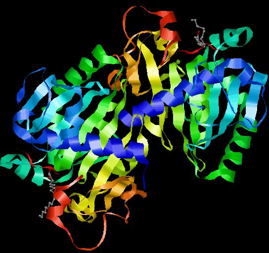 Chem Brotherhood (ZuFaYoFan): Lesson 3 : PDB - Protein Data Bank