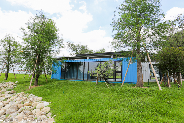 台中北屯|鉅虹建設海天橋水岸公園|百日草|落羽松|阿勃勒|生態池|貨櫃屋 台中北屯|鉅虹建設海天橋水岸公園|百日草|落羽松|阿勃勒|生態池|貨櫃屋