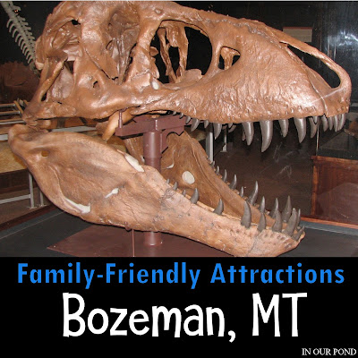 Family-Friendly Attractions- Museum of the Rockies in Bozeman, MT from In Our Pond #museumwithkids #travelwithkids #roadtrip #travel #montana #montanawithkids #kidfriendly #roadtripwithkids #dinosaurs #dinosaurmuseum