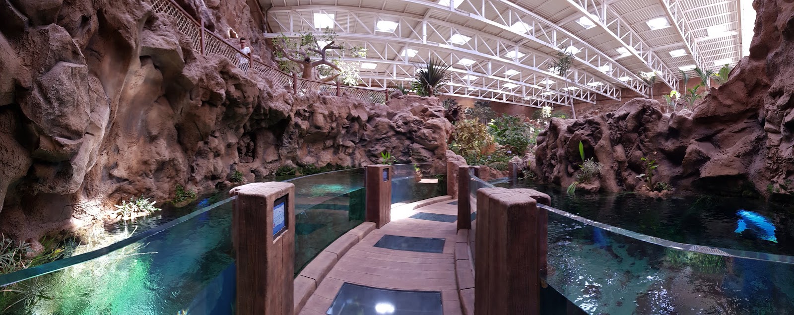 Im Aquarium könnt ihr über 300 verschiedene Arten und Unterarten von