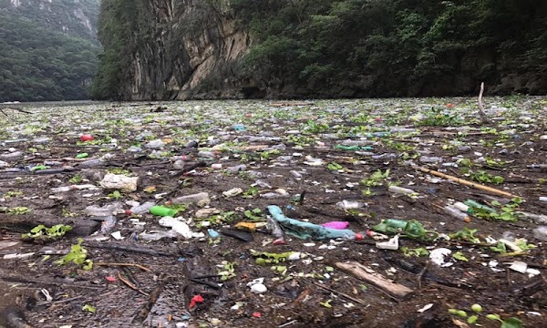 El Cañón del Sumidero se inunda de basura (VIDEO) El Cañón del Sumidero se inunda de basura (VIDEO)