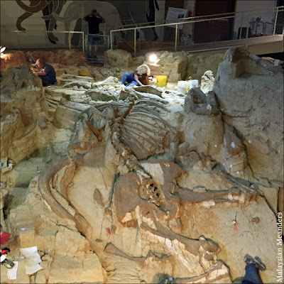 paleontology, mammoth fossile, Hot Springs, South Dakota