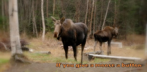 If you give a moose a button