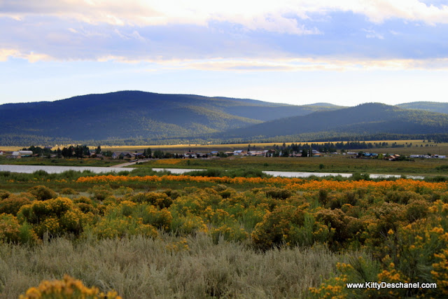 perfect setting for a wine festival