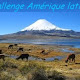 Bilan challenge Amérique du Sud-latine